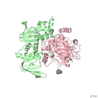 Protein Kinase A - Proteopedia, life in 3D