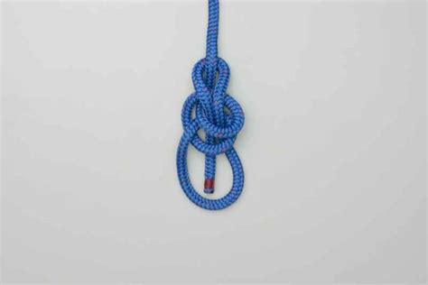 Animation: Water Bowline Knot Tying | Bowline knot, Knots, Reef knot