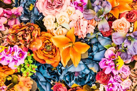 How Flowers Get Their Color - ProFlowers Blog