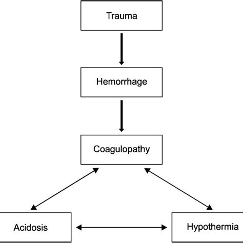 (PDF) Pathophysiology of Hemorrhagic Shock