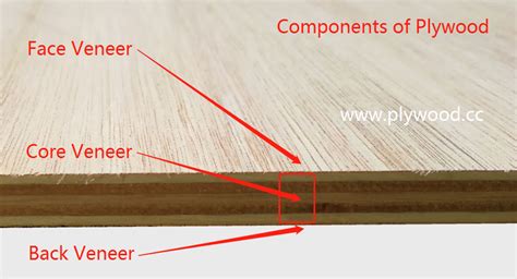 minimum plywood thickness for floor - Main Event Weblog Pictures