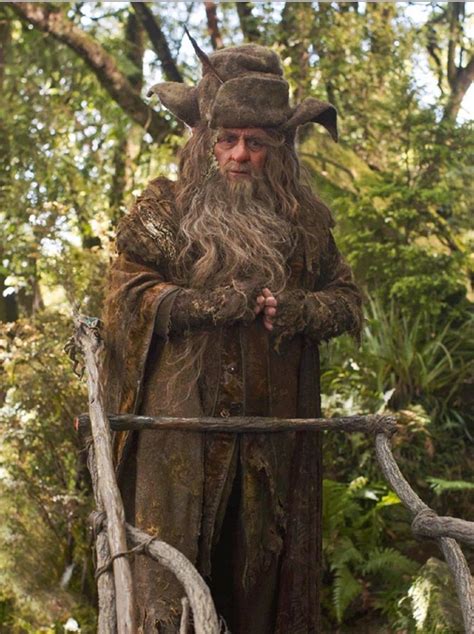 Radagast | Heroes and Villains Wiki | Fandom