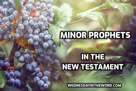 Minor Prophets quoted in the New Testament - Wednesday in the Word