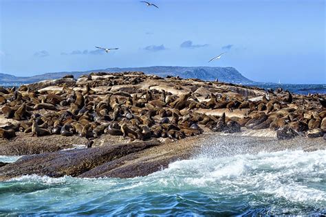 5-five-5: Robben Island (Cape Town - South Africa)