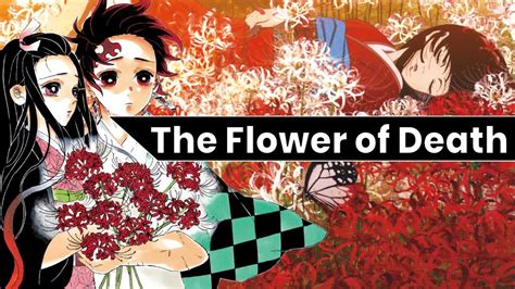 Why this Red Flower is in Every Anime/Manga (Red Spider Lily/Higanbana ...