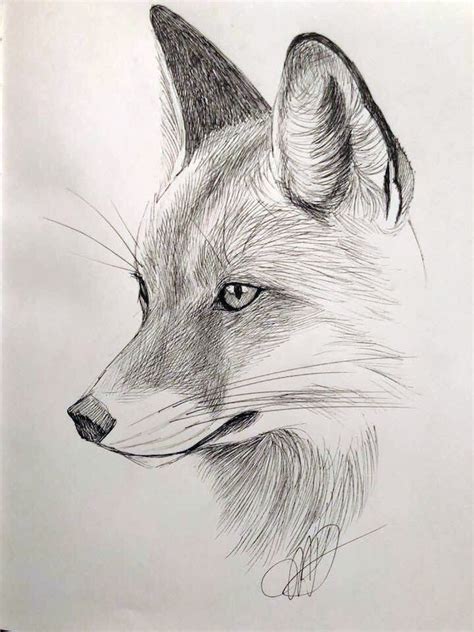 Pin on GRAFITOYTINTA | Animal drawings sketches, Pencil drawings of ...