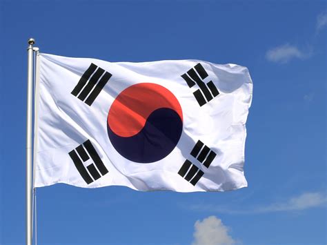 Large Flag South Korea - 5x8 ft - Royal-Flags