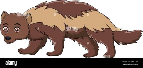 Cute Wolverine animal cartoon vector illustration Stock Vector Image ...