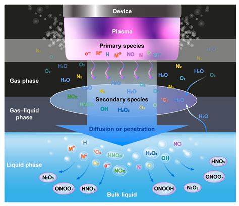 Biomedicines | Free Full-Text | Applications of Plasma-Activated Liquid ...