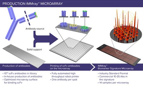 IMMray™ microarray – production - Immunovia