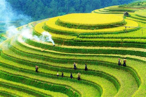 Mu Cang Chai Local Travel Guide - Vietnam's most beautiful rice terraces