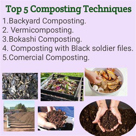 Top 5 Sustainable Composting Methods for Improving Soil Fertility and ...