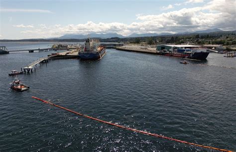 Cargo ship fuel spill triggers clean-up operation in Canadian Nanaimo ...