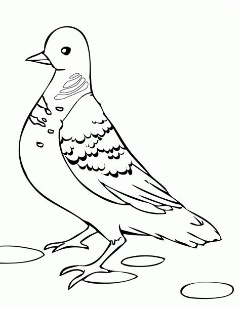 Free White Dove Coloring Page, Download Free White Dove Coloring Page ...