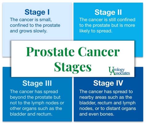 Prostate Cancer Stages & Options | Urology Associates | CO