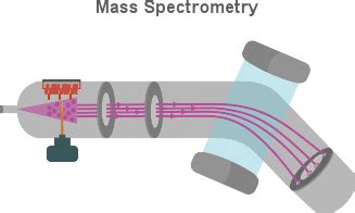 Mass Spectrometry - PSIBERG