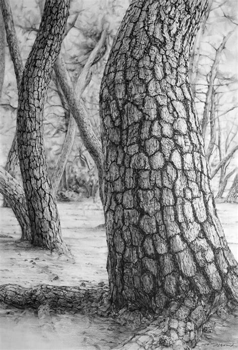 Pin by 김형경 on pencil sketch | Landscape drawings, Tree drawings pencil ...