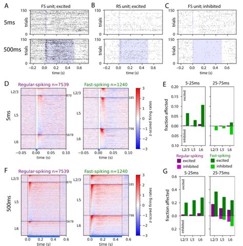 Cortical cells can be excited or inhibited by claustrum stimulation in ...