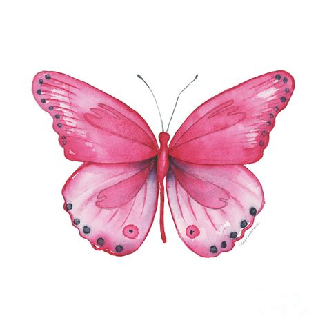 107 Pink Genus Butterfly Painting by Amy Kirkpatrick - Pixels