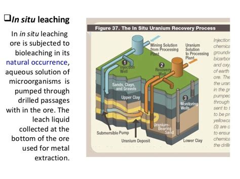 Bioleaching its technique and applications