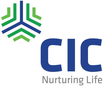 CIC Logo - LogoDix