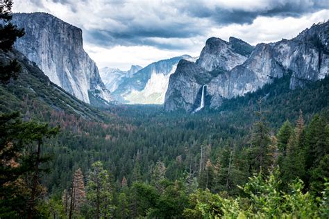 Yosemite National Park: A Quick Guide | Simplicity Relished