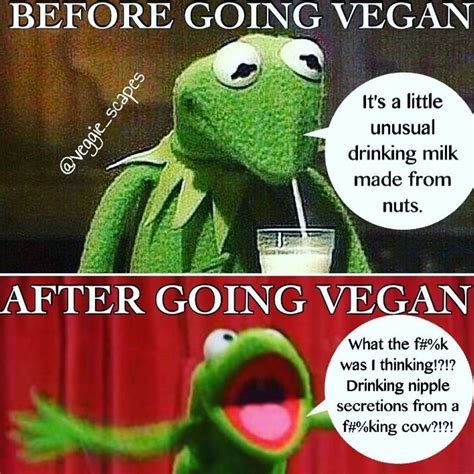 Drinking nut- and cow-milk before and after going vegan / vegan meme ...