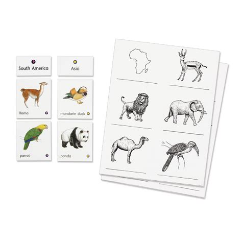 Animals of Seven Continents - Montessori Services