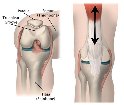 Bike Radar: Knee Pain Under Kneecap