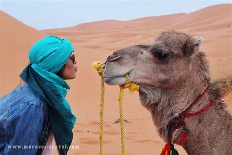 Morocco Desert Tours - Travel to Morocco | Luxury & Private Morocco ...