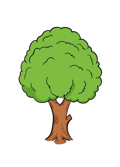 Tree Drawing - How To Draw A Tree Step By Step!