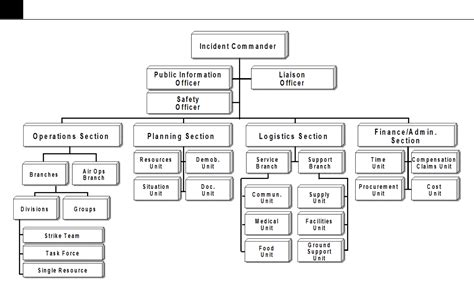 Sample Chart for ICS Organization Free Download