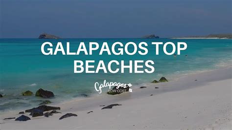 Top 10 Galapagos Islands Beaches | Galapagos Low Cost 2021