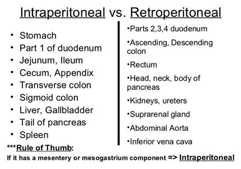 Retroperitoneal Organs