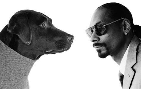 The best snoop dogg songs - maxbmanage