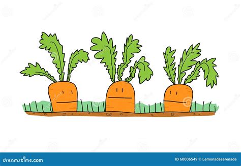 Carrots Cartoon Stock Vector - Image: 60006549