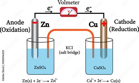 Vettoriale Stock Voltaic galvanic cell or daniell cell.Redox reaction ...