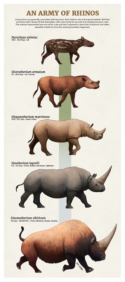 An Army of Rhinos by Julio Lacerda Prehistoric Wildlife, Prehistoric ...