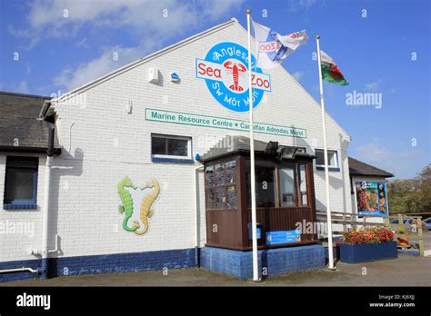 Anglesey Sea Zoo Stock Photo - Alamy