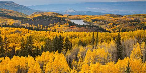 Grand Mesa Fall Colors // ADVENTR.co