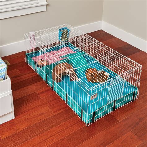 The Best Guinea Pig Playpens And Runs Reviewed