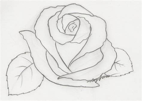 Pencil Sketch Rose Flower Drawing Easy - Denue Voconesto