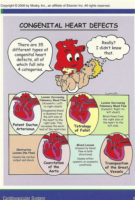 What Are Congenital Diseases