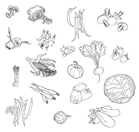 Free Vector | Set of hand-drawn vegetables for your design.