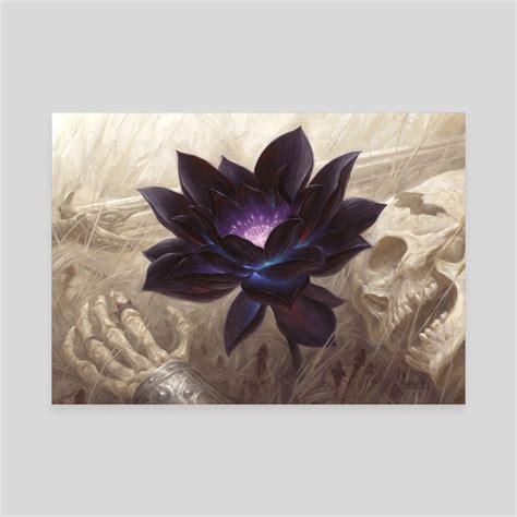 Black Lotus, an art canvas by Chris Rahn - INPRNT