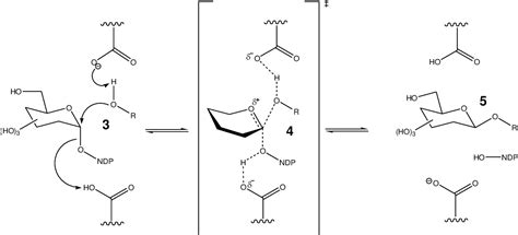 Figure 1 from Synthesis of tools for glycoprotein remodelling ...