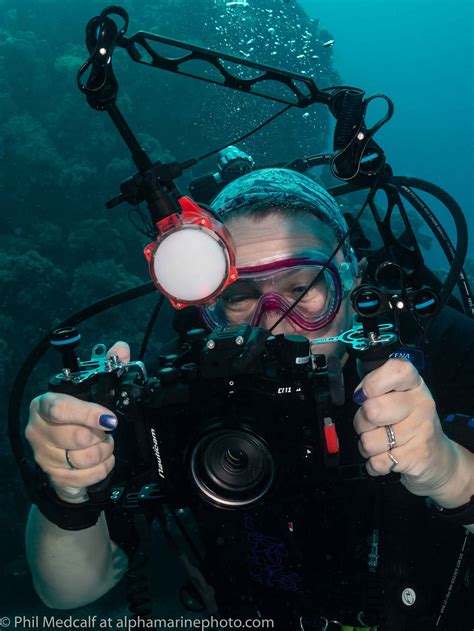 A guide to buying used underwater photography equipment — Alphamarine ...