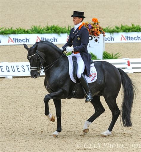 Dressage Horse