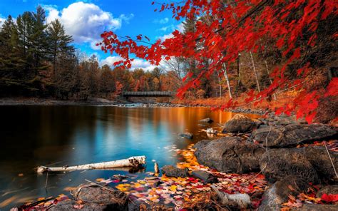 Desktop wallpaper 4K - Fall background - Heroscreen | Free image stock ...