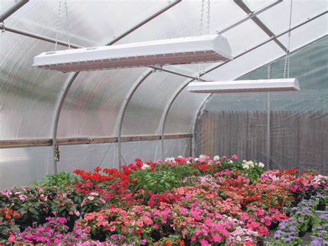 Energy-Efficient Lighting For The Greenhouse | Greenhouse Grower